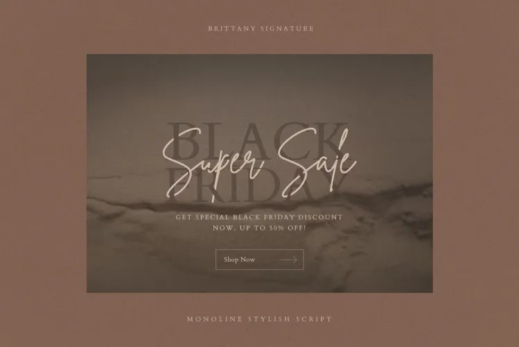 Brittany Signature Font preview 1 – Script And Handwritten font sample