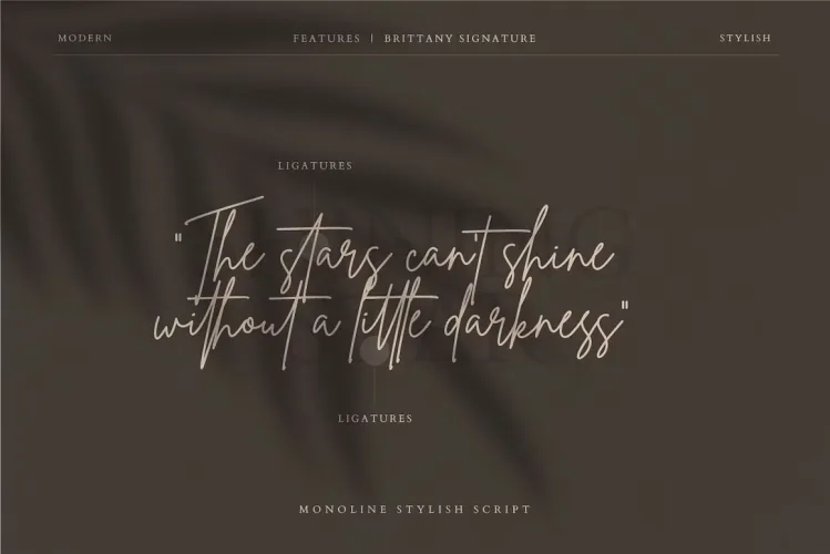 Brittany Signature Font preview 3 – Script And Handwritten font sample