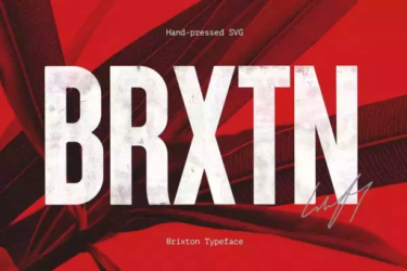 Brixton Font free download – Sans Serif Fonts font preview