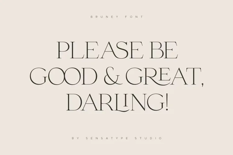 Bruney Font preview 4 – Serif Fonts font sample