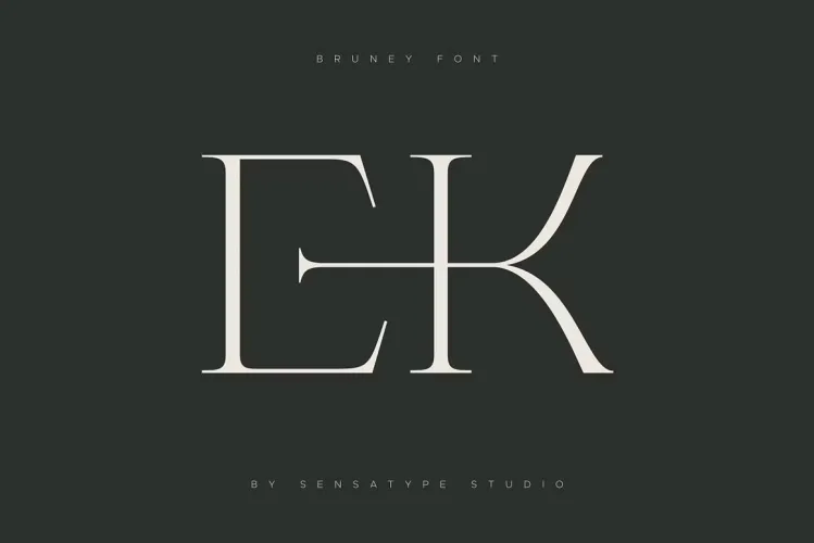 Bruney Font preview 5 – Serif Fonts font sample