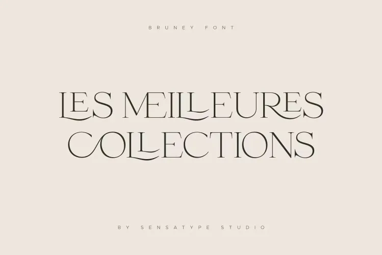Bruney Font preview 7 – Serif Fonts font sample
