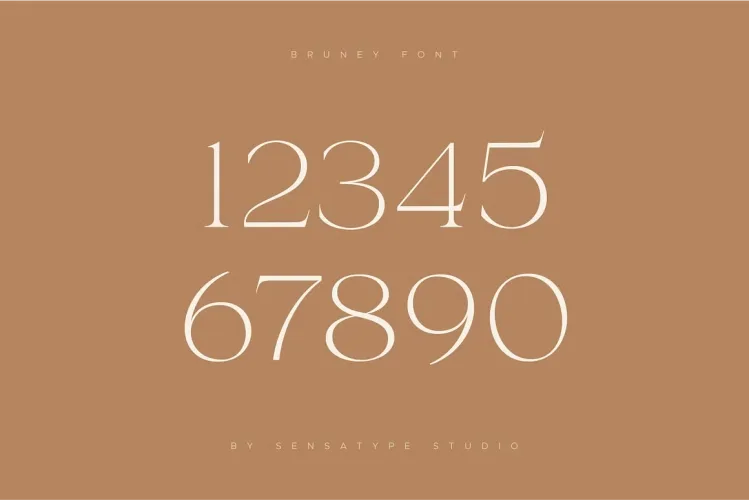 Bruney Font preview 8 – Serif Fonts font sample