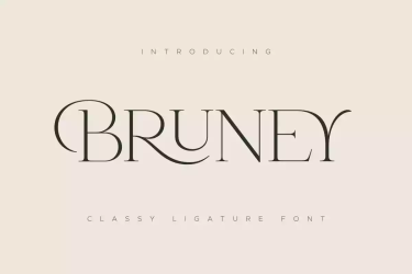 Bruney Font free download – Branding font preview