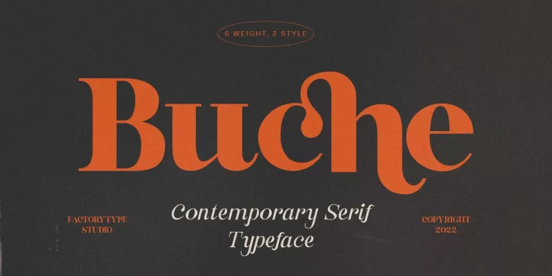 Buche Font Family preview 11 – Serif Fonts font sample
