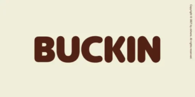 Buckin Font free download – Friendly font preview