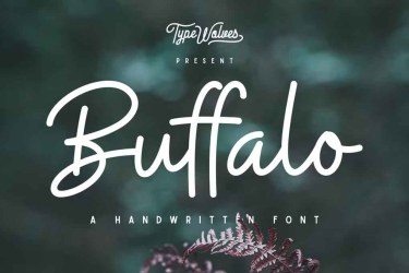 Buffalo Font free download – Branding font preview