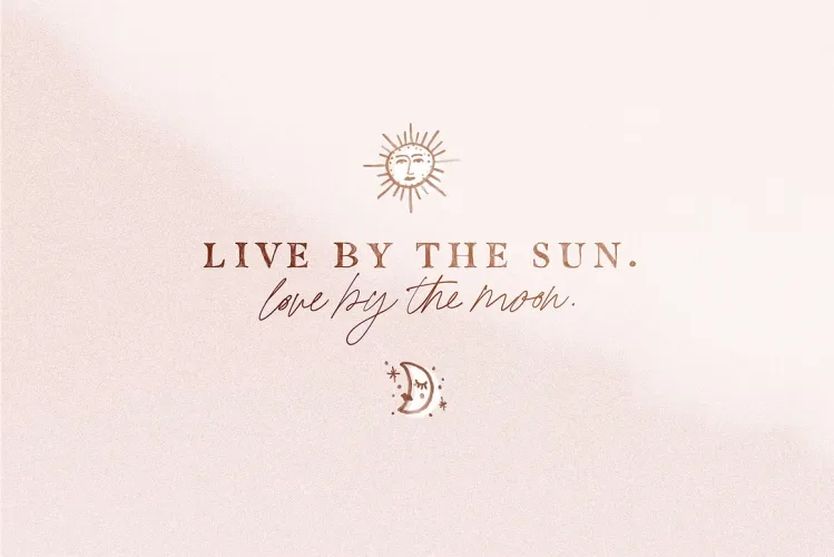 California Palms Font preview 4 – Script And Handwritten font sample