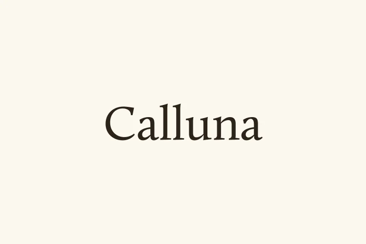 Calluna Font preview 1 – Sans Serif Fonts font sample