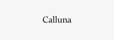 Calluna Font free download – Sans Serif Fonts font preview