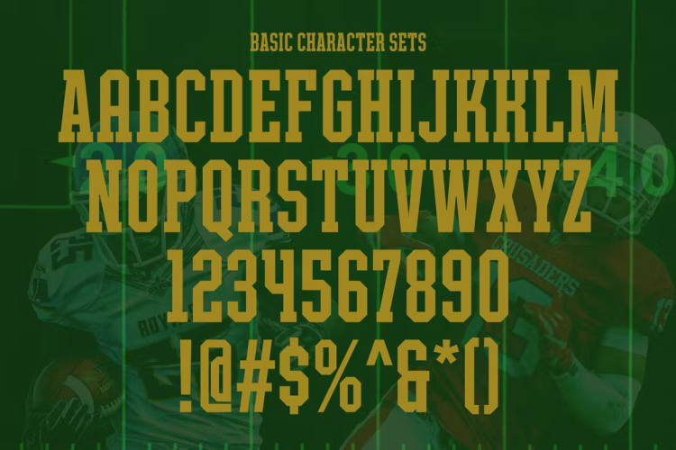 Camphound Font free download preview 2 – Serif Fonts font