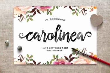 Carolinea Typeface Font free download – Bold font preview