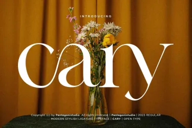 Cary – Classy Serif Font free download – Serif Fonts preview