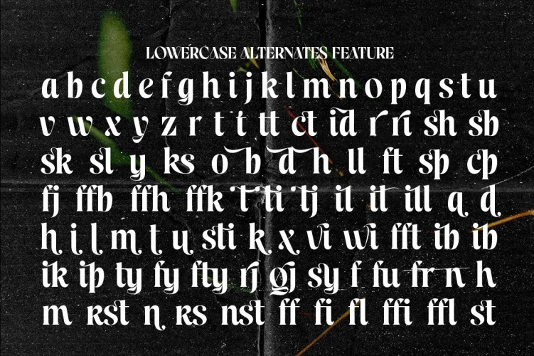 Celion Font preview 6 – Display Fonts font sample