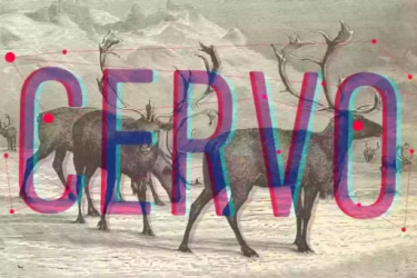 Cervo Font free download – Branding font preview