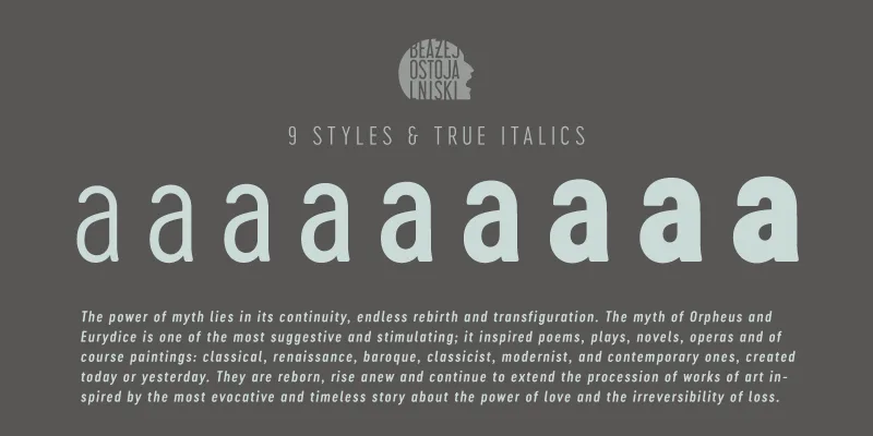 Cervo Neue Font preview 2 – Sans Serif Fonts font sample