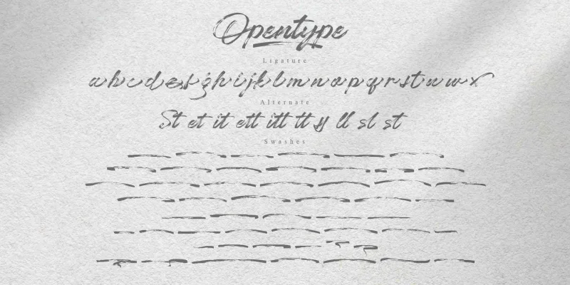 Chaletliness Font Family preview 6 – Script And Handwritten font sample