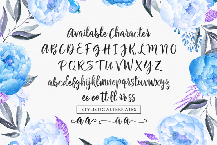 Chamelia Script Font free download preview 2 – Script And Handwritten font