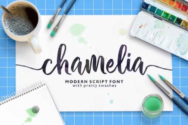 Chamelia Script Font free download – Calligraphy font preview