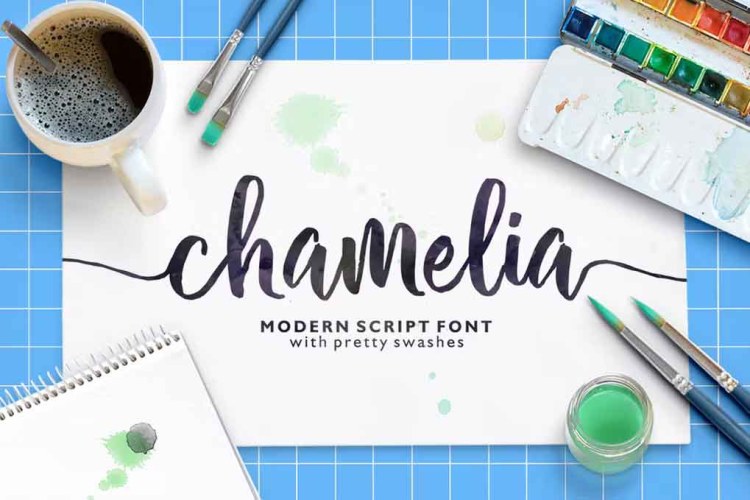 Chamelia Script Font free download preview 3 – Script And Handwritten font