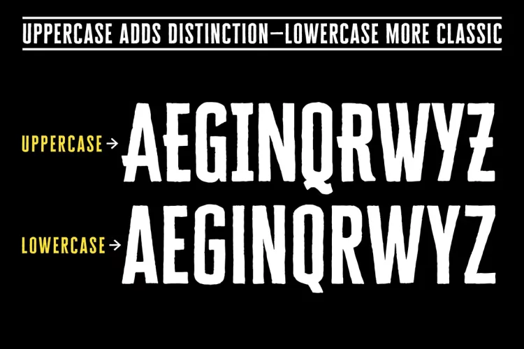 Cheddar Gothic Font Family preview 3 – Serif Fonts font sample