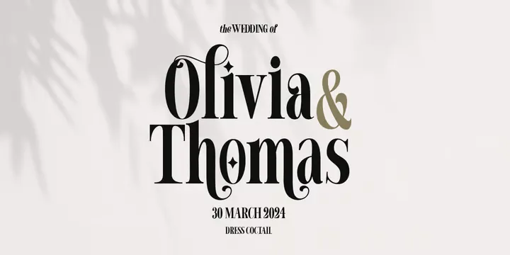 Chicago Darling Serif Font preview 3 – Modern Fonts font sample