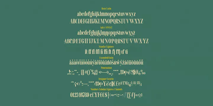 Chicago Darling Serif Font preview 5 – Modern Fonts font sample