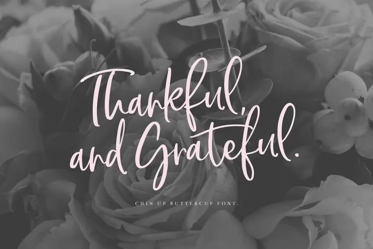 Chin Up Buttercup Font preview 6 – Script And Handwritten font sample