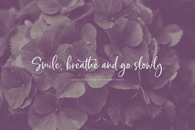 Chin Up Buttercup Font preview 9 – Script And Handwritten font sample