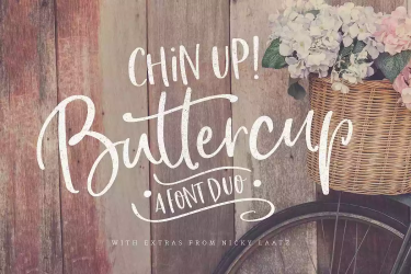 Chin Up Buttercup Font free download – Branding font preview