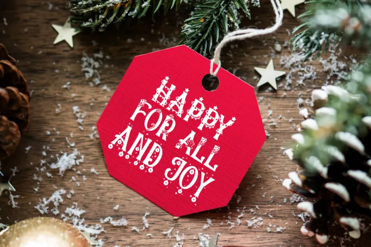 Christmas Chances Font preview 4 – Serif Fonts font sample