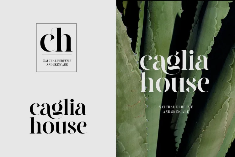 Cilager Font preview 10 – Serif Fonts font sample