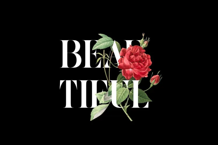 Cilager Font preview 3 – Serif Fonts font sample