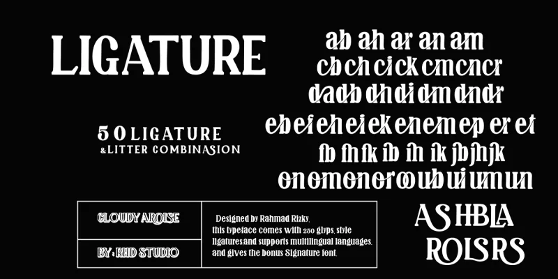 Cloudy Arolse Font Family preview 9 – Sans Serif Fonts font sample