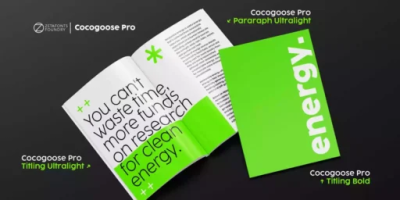 Cocogoose Font free download – Sans Serif Fonts font preview