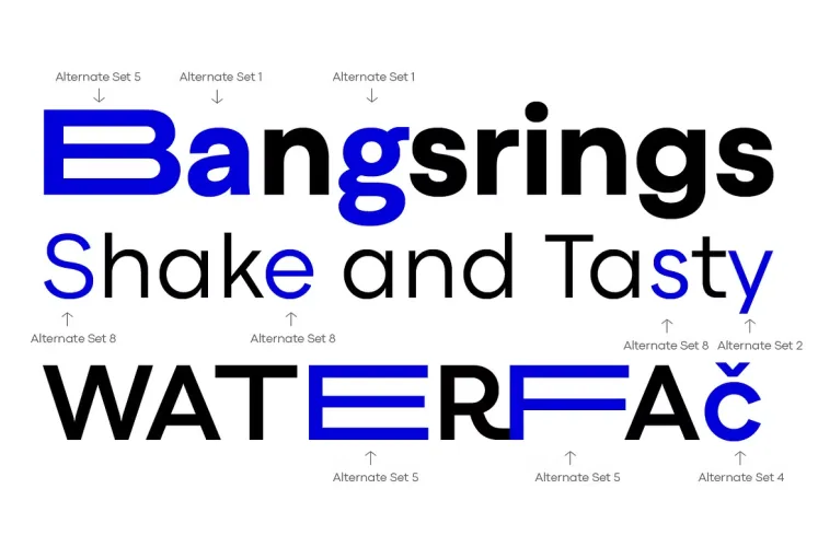 Codec Pro Font preview 6 – Sans Serif Fonts font sample