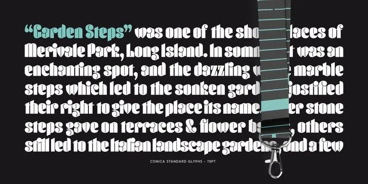 Conica Font preview 8 – Typeface font sample