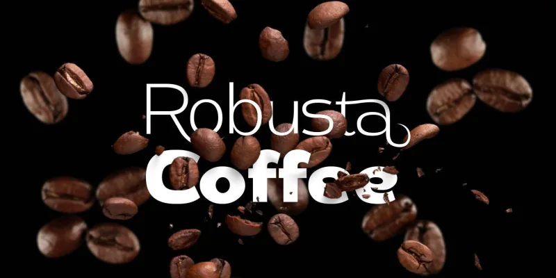 DST Helfita Font Family preview 4 – Typeface font sample