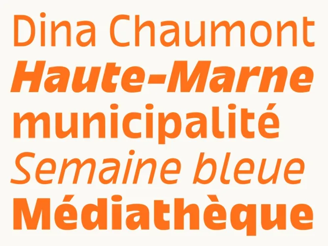 Dina Chaumont Font Family preview 3 – Font Family font sample