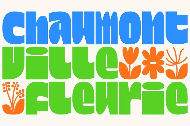 Dina Chaumont Font Family preview 5 – Font Family font sample