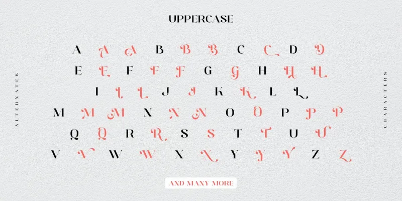 Distrela Font preview 6 – Serif Fonts font sample