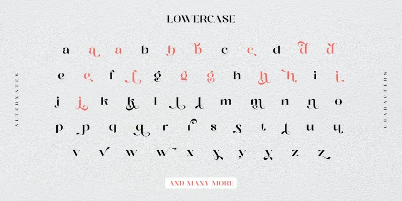 Distrela Font preview 7 – Serif Fonts font sample