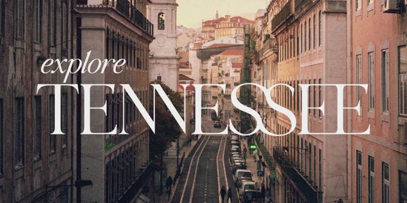 Dominic Font Family preview 1 – Serif Fonts font sample