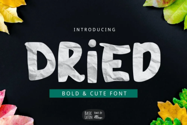 Dried Bold Font free download – Dried Bold Font font preview