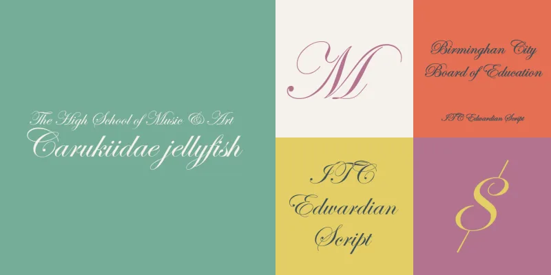 Edwardian Script Font preview 2 – Script And Handwritten font sample