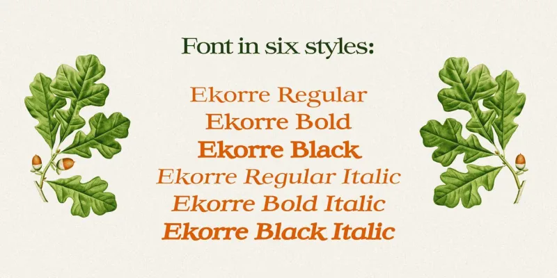 Ekorre Font Family preview 2 – Serif Fonts font sample