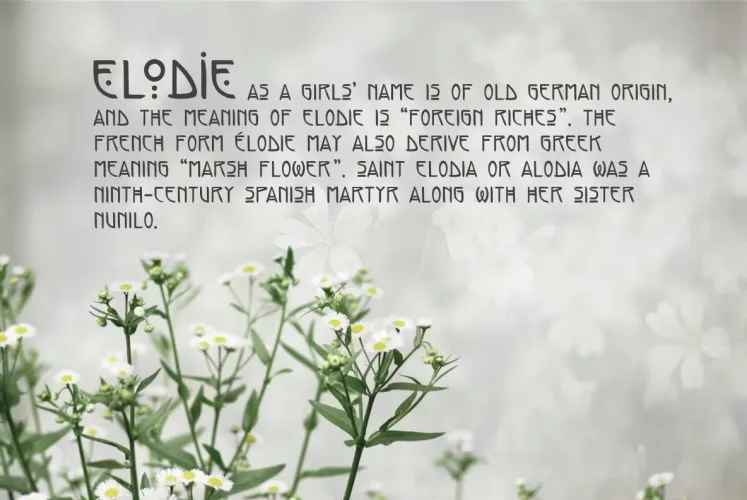 Elodie Hand Sketched Art Nouveau Font preview 2 – Sans Serif Fonts font sample