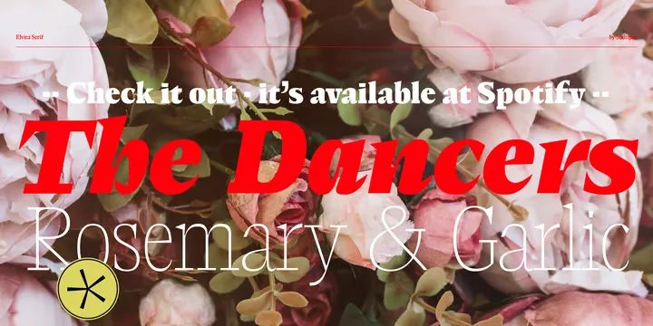 Elvira Serif Font Family preview 4 – Serif Fonts font sample