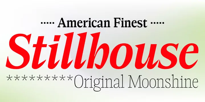 Elvira Serif Font Family preview 9 – Serif Fonts font sample