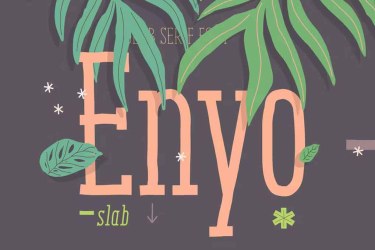 Enyo Slab Font free download – similar font preview